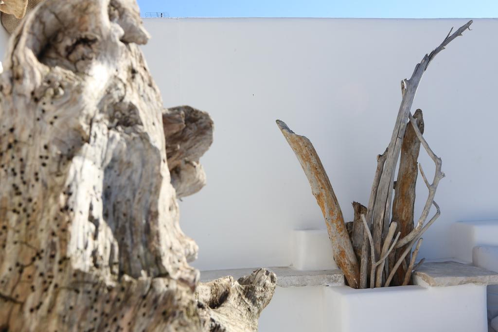 Portadamare Panzió Trani Kültér fotó
